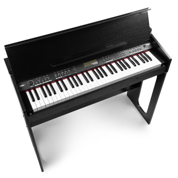 Max Rhapsody DP61
