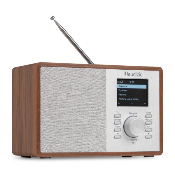 Audizio COSA