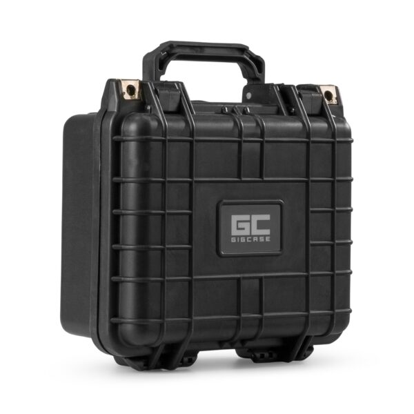 Power Dynamics GIGCase4