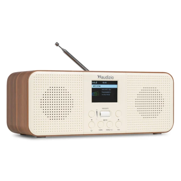 Audizio Bucine